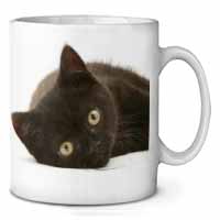 Stunning Black Cat Ceramic 10oz Coffee Mug/Tea Cup