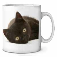 Stunning Black Cat Ceramic Coffee Mug/Tea Cup