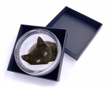 Stunning Black Cat Glass Paperweight in Gift Box