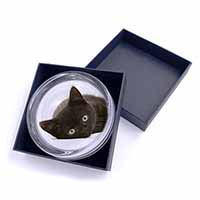 Stunning Black Cat Glass Paperweight in Gift Box