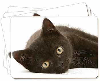 Stunning Black Cat Picture Placemats in Gift Box