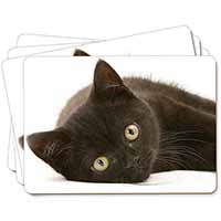 Stunning Black Cat Picture Placemats in Gift Box