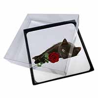 4x Black Kitten with Red Rose Picture Table Coasters Set in Gift Box