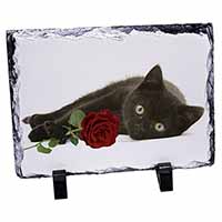 Black Kitten with Red Rose, Stunning Photo Slate