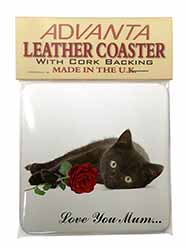 Black Cat+Rose 