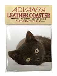 Stunning Black Cat Single Leather Photo Coaster