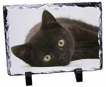 Stunning Black Cat, Stunning Photo Slate
