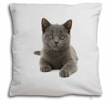 British Blue Kitten Cat Soft White Velvet Feel Scatter Cushion