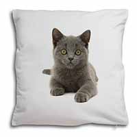 British Blue Kitten Cat Soft White Velvet Feel Scatter Cushion