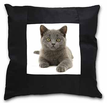 British Blue Kitten Cat Black Satin Feel Scatter Cushion