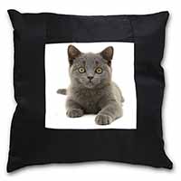 British Blue Kitten Cat Black Satin Feel Scatter Cushion