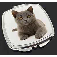 British Blue Kitten Cat Make-Up Compact Mirror