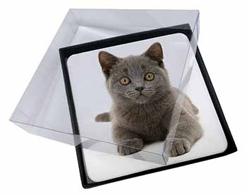 4x British Blue Kitten Cat Picture Table Coasters Set in Gift Box
