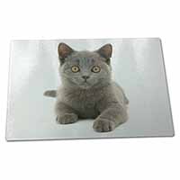 Large Glass Cutting Chopping Board British Blue Kitten Cat