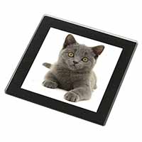 British Blue Kitten Cat Black Rim High Quality Glass Coaster