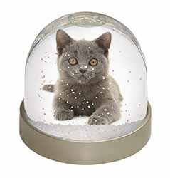 British Blue Kitten Cat Snow Globe Photo Waterball