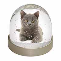 British Blue Kitten Cat Snow Globe Photo Waterball