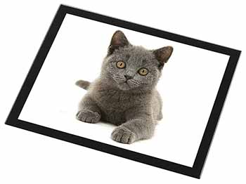 British Blue Kitten Cat Black Rim High Quality Glass Placemat