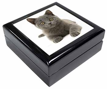 British Blue Kitten Cat Keepsake/Jewellery Box