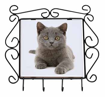 British Blue Kitten Cat Wrought Iron Key Holder Hooks