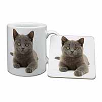 British Blue Kitten Cat Mug and Coaster Set