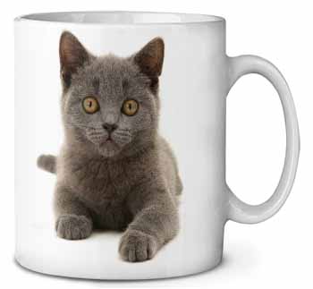 British Blue Kitten Cat Ceramic 10oz Coffee Mug/Tea Cup