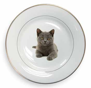 British Blue Kitten Cat Gold Rim Plate Printed Full Colour in Gift Box