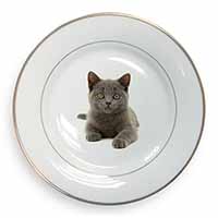 British Blue Kitten Cat Gold Rim Plate Printed Full Colour in Gift Box