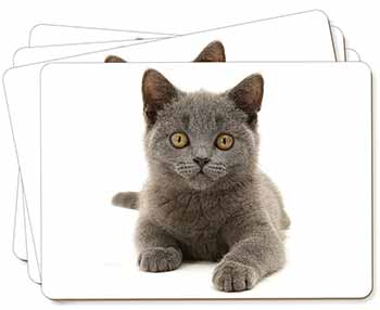 British Blue Kitten Cat Picture Placemats in Gift Box
