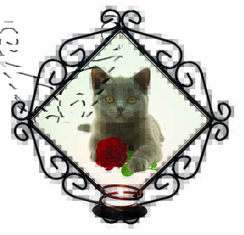 British Blue Kitten with Red Rose Wrought Iron Wall Art Candle Holder