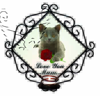 Blue Cat+Rose 