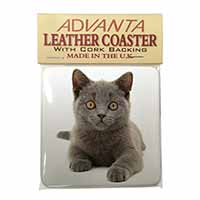 British Blue Kitten Cat Single Leather Photo Coaster