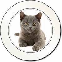British Blue Kitten Cat Car or Van Permit Holder/Tax Disc Holder
