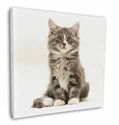 Cute Tabby Kitten Square Canvas 12"x12" Wall Art Picture Print