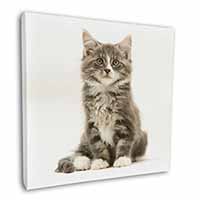 Cute Tabby Kitten Square Canvas 12"x12" Wall Art Picture Print