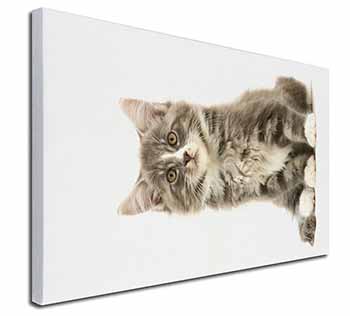 Cute Tabby Kitten Canvas X-Large 30"x20" Wall Art Print