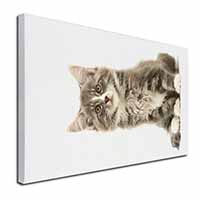 Cute Tabby Kitten Canvas X-Large 30"x20" Wall Art Print