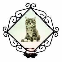 Cute Tabby Kitten Wrought Iron Wall Art Candle Holder