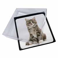 4x Cute Tabby Kitten Picture Table Coasters Set in Gift Box