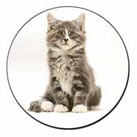 Cute Tabby Kitten Fridge Magnet Printed Full Colour