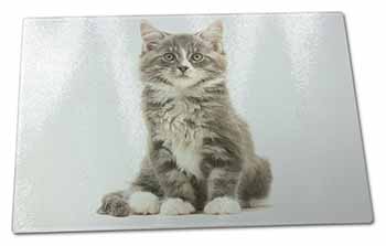 Large Glass Cutting Chopping Board Cute Tabby Kitten