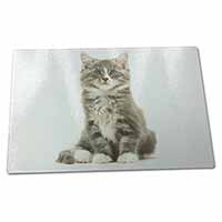 Large Glass Cutting Chopping Board Cute Tabby Kitten