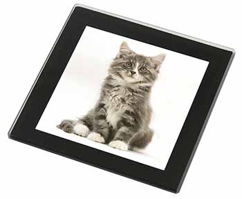 Cute Tabby Kitten Black Rim High Quality Glass Coaster