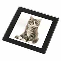 Cute Tabby Kitten Black Rim High Quality Glass Coaster