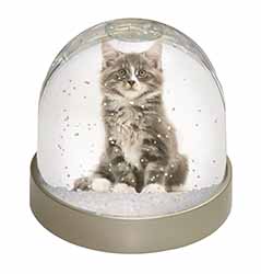 Cute Tabby Kitten Snow Globe Photo Waterball