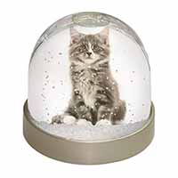 Cute Tabby Kitten Snow Globe Photo Waterball