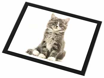 Cute Tabby Kitten Black Rim High Quality Glass Placemat