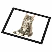 Cute Tabby Kitten Black Rim High Quality Glass Placemat