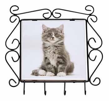 Cute Tabby Kitten Wrought Iron Key Holder Hooks