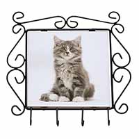 Cute Tabby Kitten Wrought Iron Key Holder Hooks